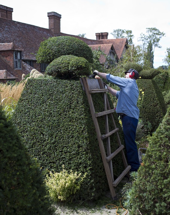 jardin tailles haies